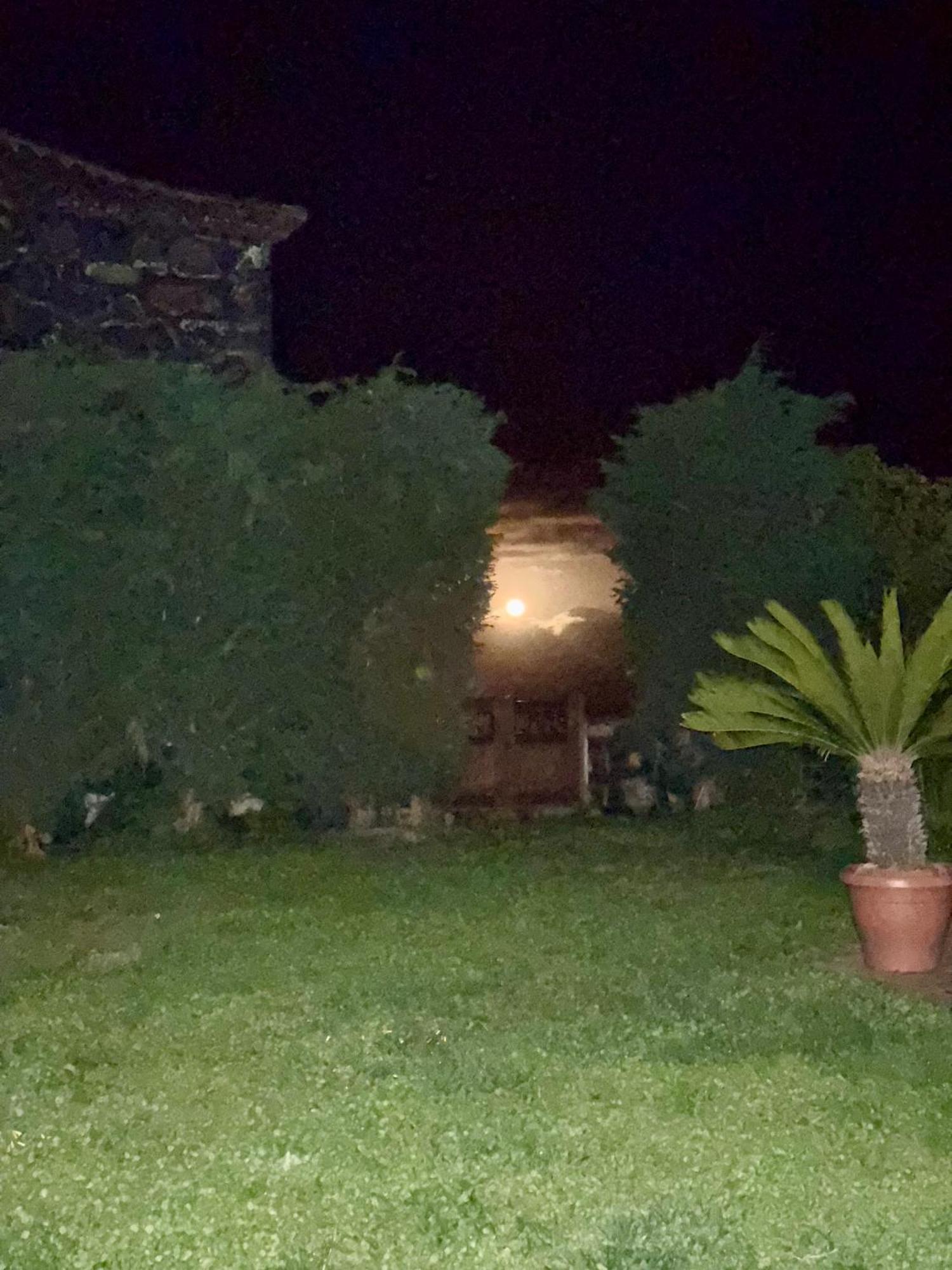 Casa Rural Quinta Los Naranjos Tigalate Luaran gambar