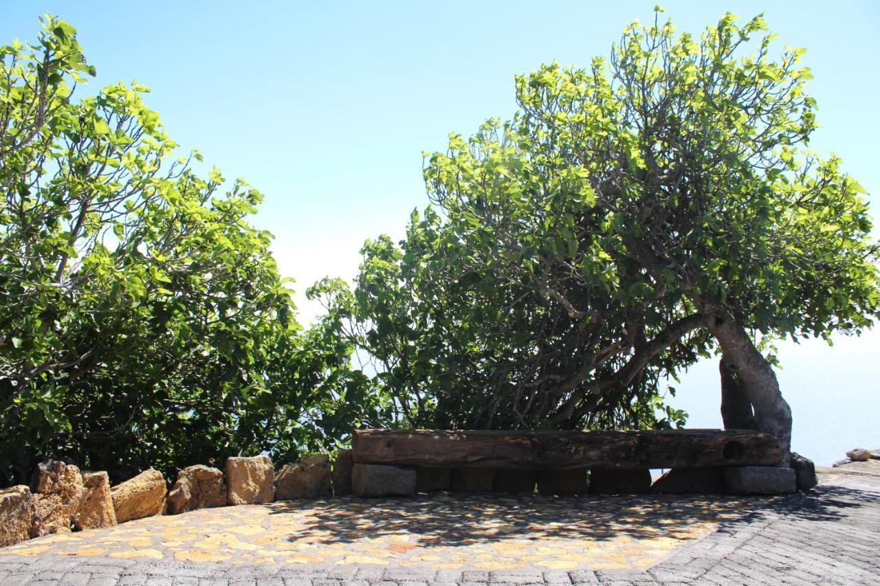 Casa Rural Quinta Los Naranjos Tigalate Luaran gambar