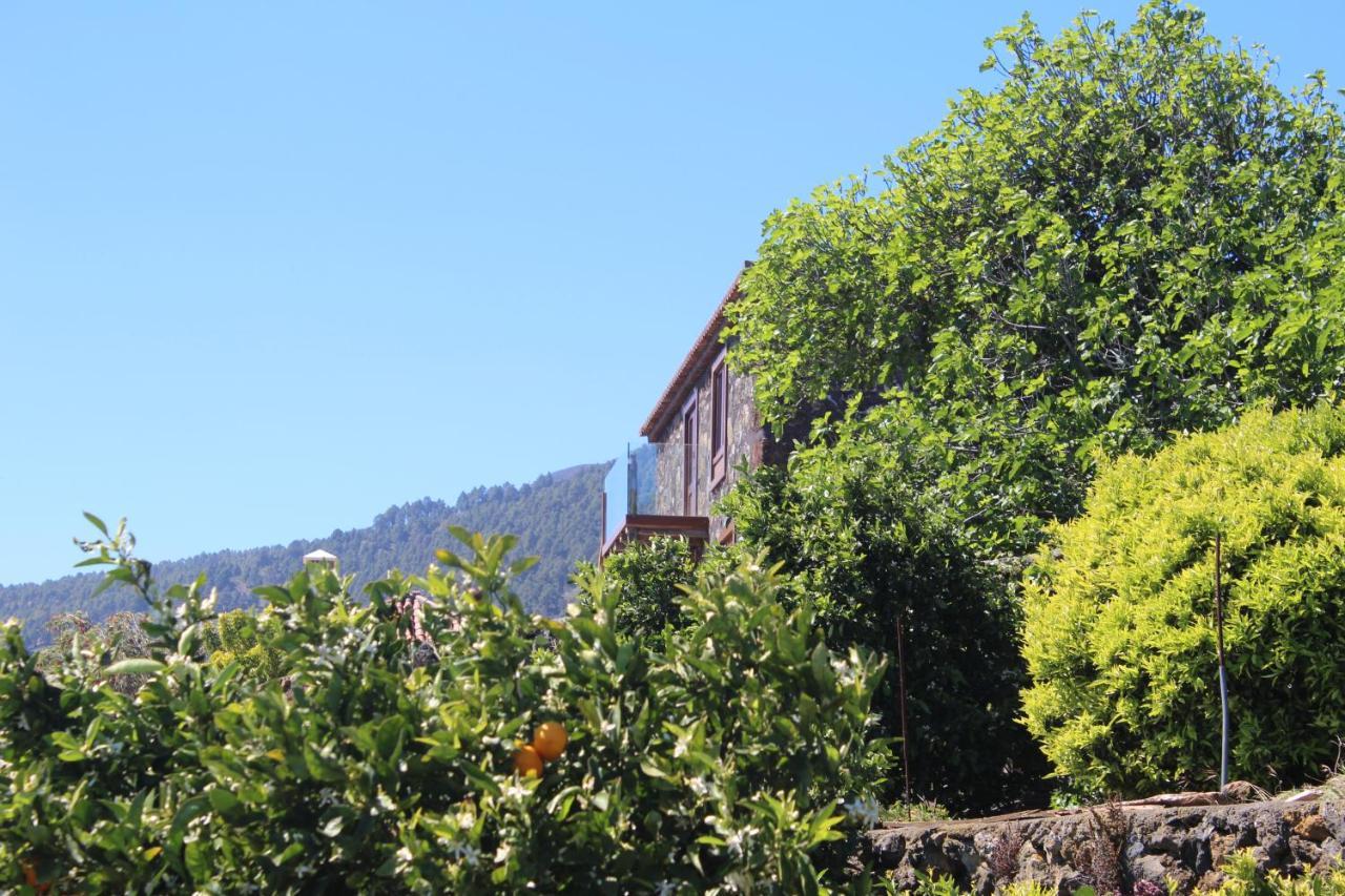 Casa Rural Quinta Los Naranjos Tigalate Luaran gambar